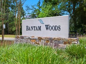 79 S Bantam Woods Circle, Spring TX 77382