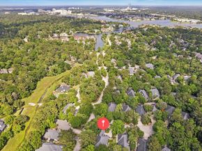 23 Prism Cove Place, The Woodlands TX 77381