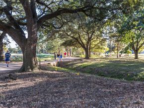 4317 Blossom Street B, Houston TX 77007