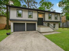 33 Kittiwake Court, The Woodlands TX 77380