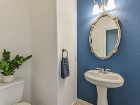 19022 Greenleaf Ridge Court, Cypress TX 77429