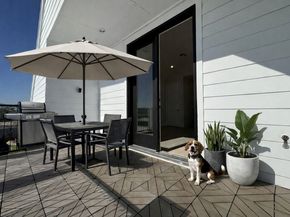 11061 Chatterton Drive, Houston TX 77043