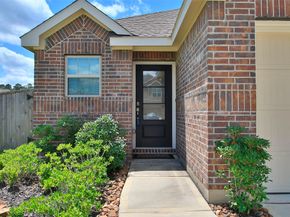 19326 Via Vinovo Court, New Caney TX 77357