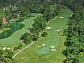 17314 Cedar Placid Lane, Houston TX 77068