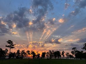 14422 Lakeside Terrace Drive, Houston TX 77044