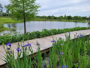 7326 Thurow Street, Houston TX 77087