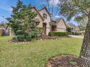 20310 Dark Hollow Lane, Spring TX 77379