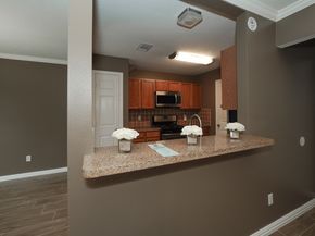 16351 San Dario Drive, Houston TX 77083