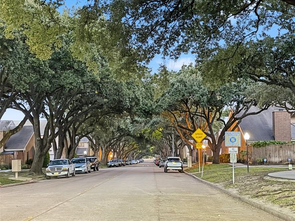 13768 Hollowgreen Drive 510, Houston TX 77082