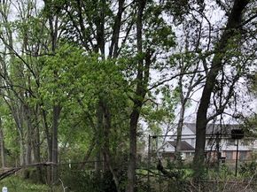 6125 Carson Road, Houston TX 77048