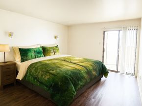 8529 Hearth Drive 34, Houston TX 77054