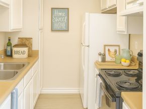 8529 Hearth Drive 34, Houston TX 77054