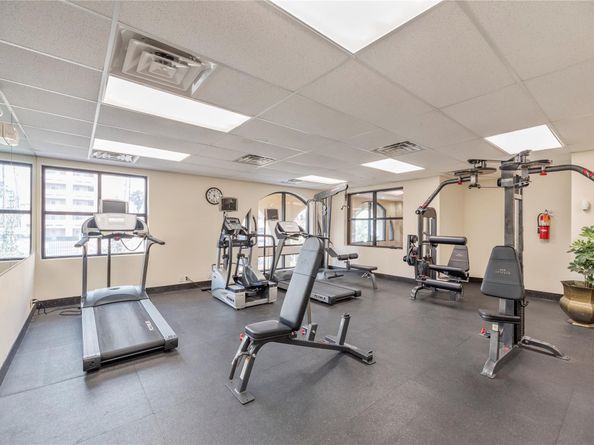 2203 Dorrington Street 403, Houston TX 77030