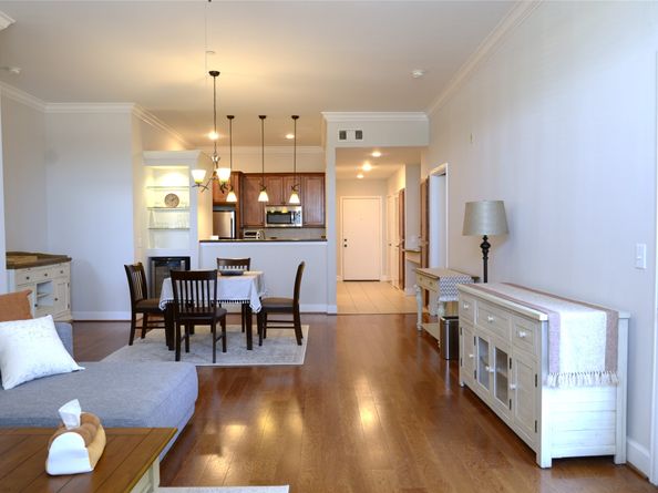 2203 Dorrington Street 403, Houston TX 77030