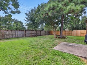 6327 Holden Mills Drive, Spring TX 77389