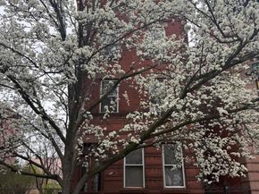151 W Susquehanna Avenue, Philadelphia PA 19122