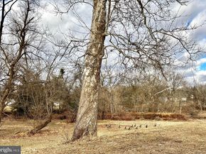 87 Langhorne Avenue, Feasterville Trevose PA 19053