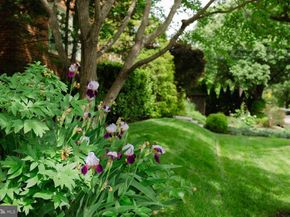 1755 Upshur Street NW, Washington DC 20011