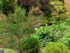 1755 Upshur Street NW, Washington DC 20011