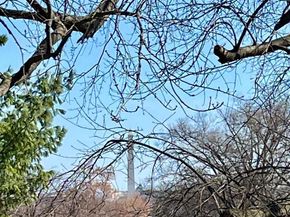 1505 12TH A, Arlington VA 22209