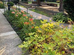 1334 Montgomery Avenue E1, Narberth PA 19072