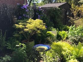 6101 Swansea Street, Bethesda MD 20817