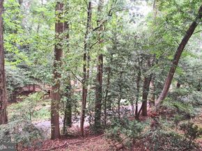 1532 Northgate Square 12A, Reston VA 20190