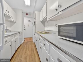 4600 Connecticut Avenue NW 223, Washington DC 20008