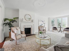 219 N Pitt Street, Alexandria VA 22314