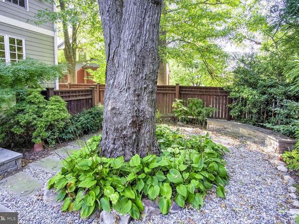 4501 Walsh Street, Chevy Chase MD 20815
