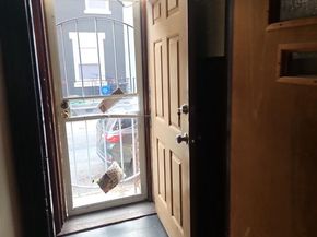 1419 W Mayfield Street, Philadelphia PA 19132