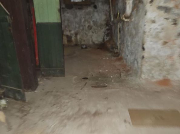 1419 W Mayfield Street, Philadelphia PA 19132