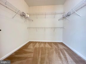 2458 Cypress Green Lane, Oak Hill VA 20171