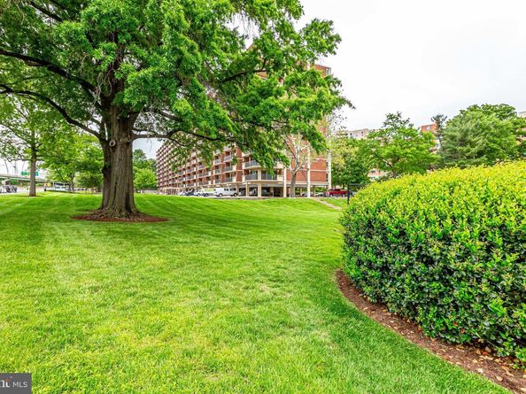 1300 Army Navy Drive S 227, Arlington VA 22202