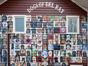 216 Duncan Avenue, Alexandria VA 22301