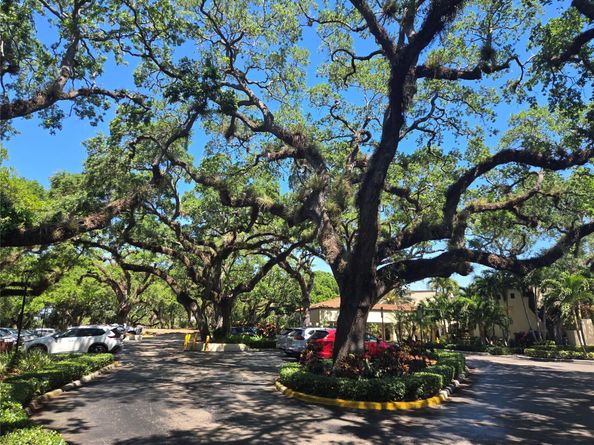 9531 Seagrape Dr 205, Davie FL 33324