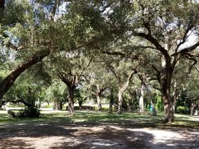 9531 Seagrape Dr 205, Davie FL 33324