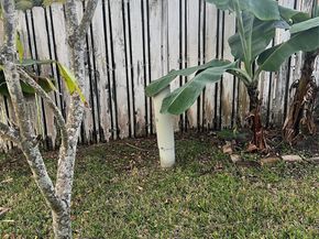 139 NW 72nd Ave, Plantation FL 33317