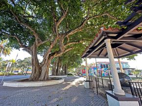 511 Lucerne Avenue 617, Lake Worth Beach FL 33460