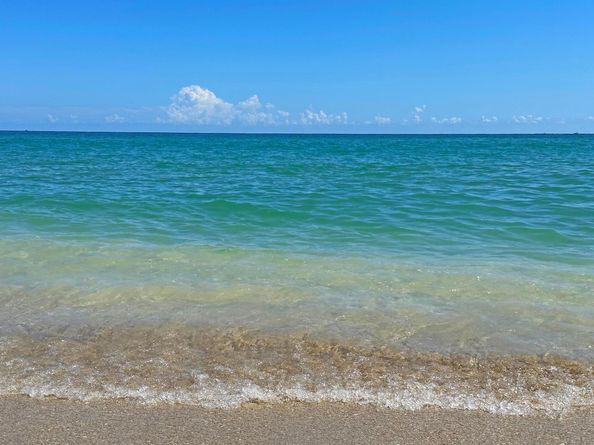 511 Lucerne Avenue 617, Lake Worth Beach FL 33460