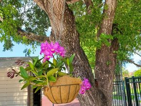 8120 SW 24th St 103, North Lauderdale FL 33068