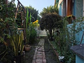 351 E 92nd, Los Angeles CA 90003