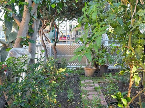 351 E 92nd, Los Angeles CA 90003