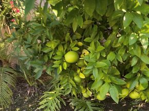 3230 E Drycreek, West Covina CA 91791