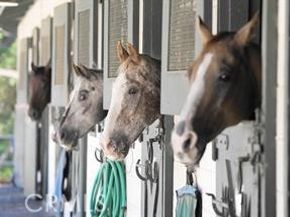 5369 Algarrobo 1G, Laguna Woods CA 92637