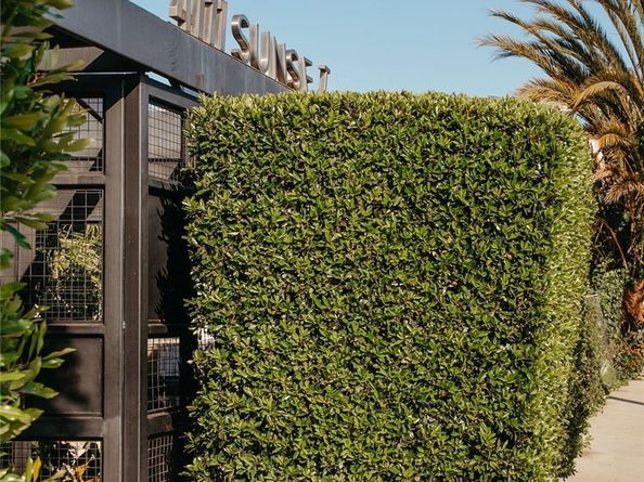 4111 W Sunset Boulevard 220, Los Angeles CA 90029