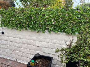 947 Avenida Carmel F, Laguna Woods CA 92637