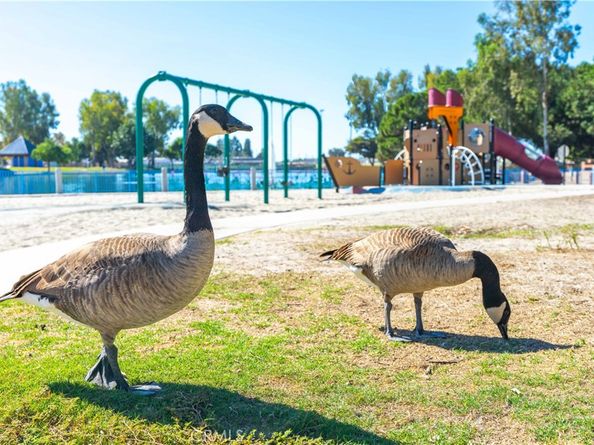 3318 W Borchard, Santa Ana CA 92704