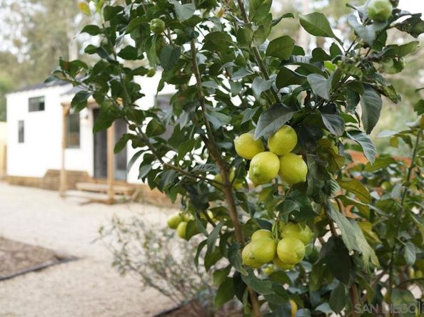 20135 Elm Ln, Escondido CA 92029