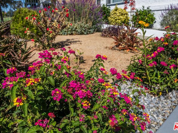 9806 S Van Ness Avenue, Los Angeles CA 90047